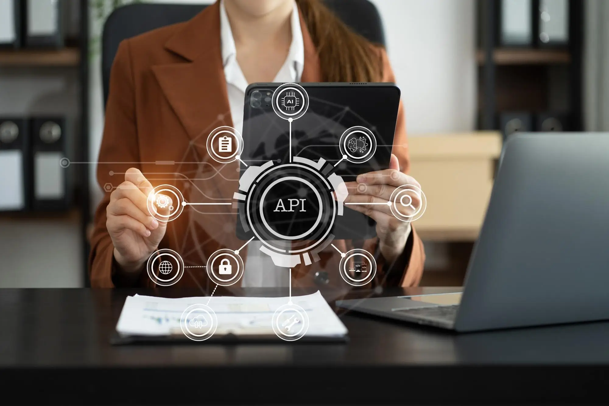 WordPress API & Third-party Integrations